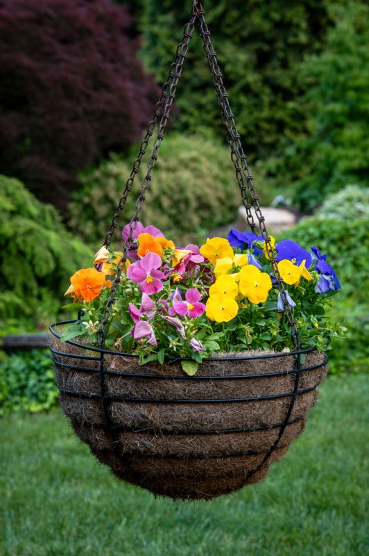 Hanging Basket Installation