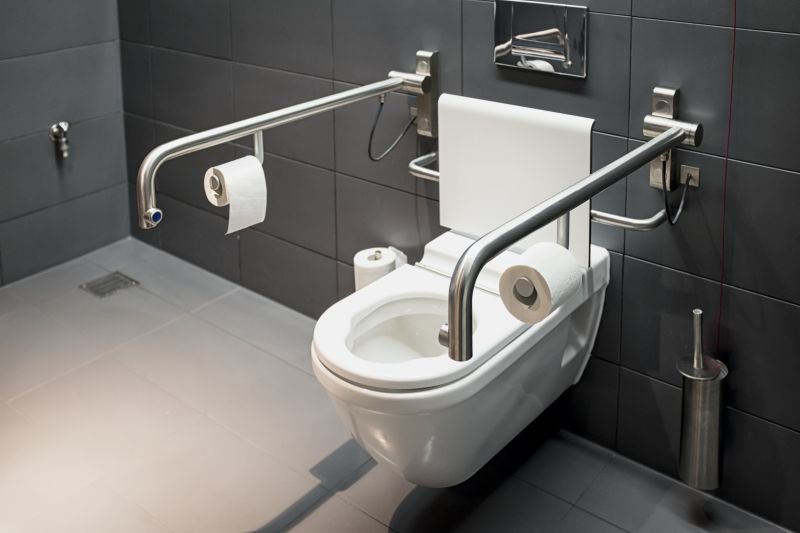 Toilet Grab Bars Installation