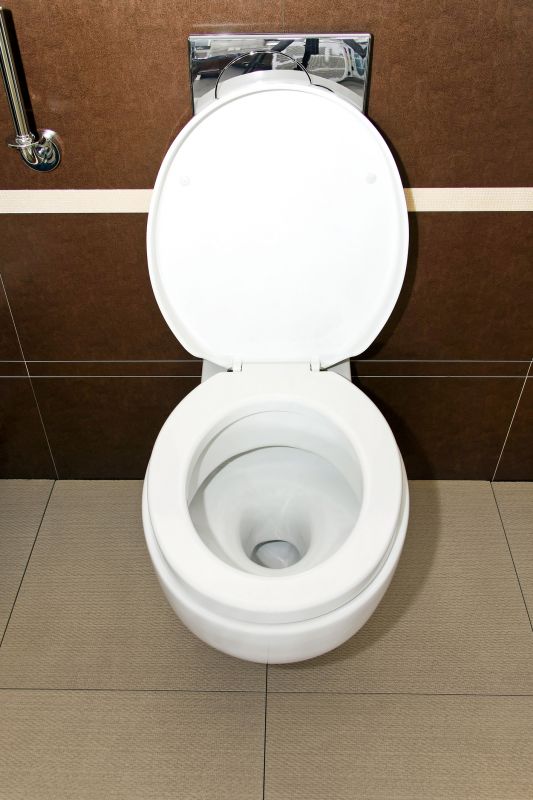 Toilet Seat Installation