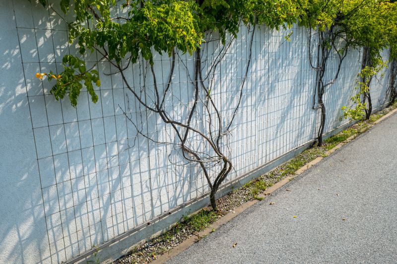 Trellis Mounting
