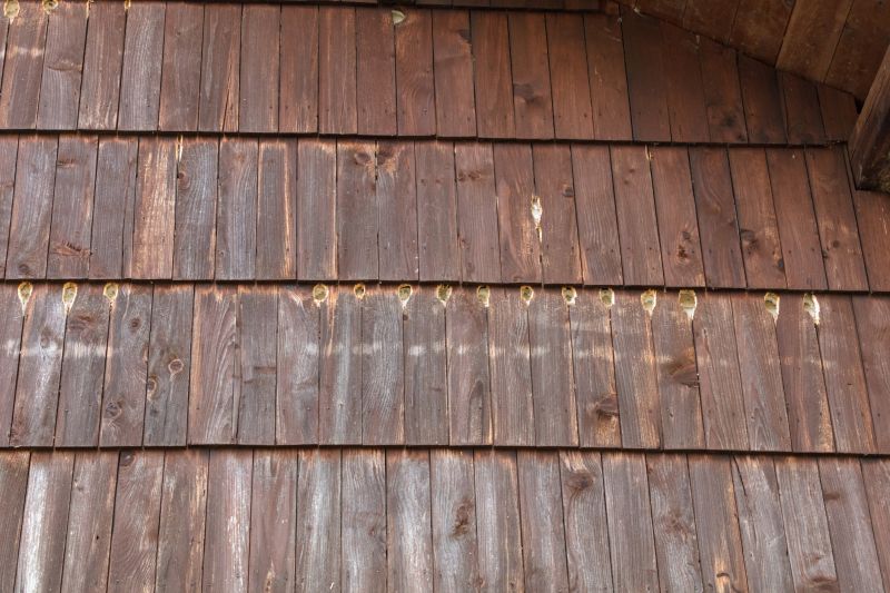 Woodpecker Hole Patching