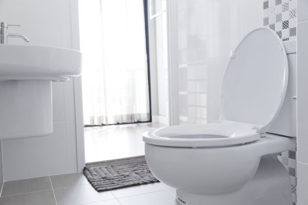 Toilet Seat Installation in Westlake