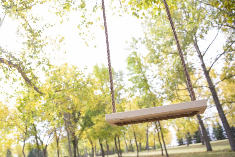 Arbor Swing Assembly