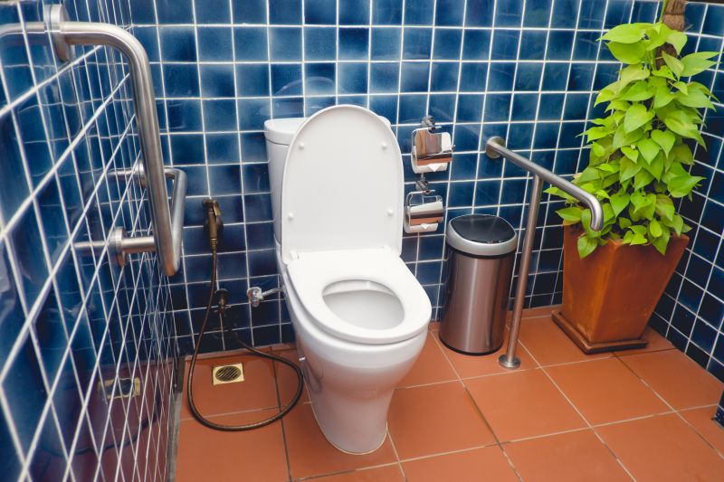 Bathroom Grab Bar Installation