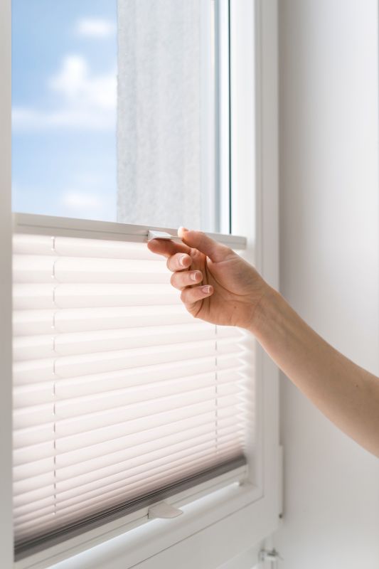 Blinds Removal