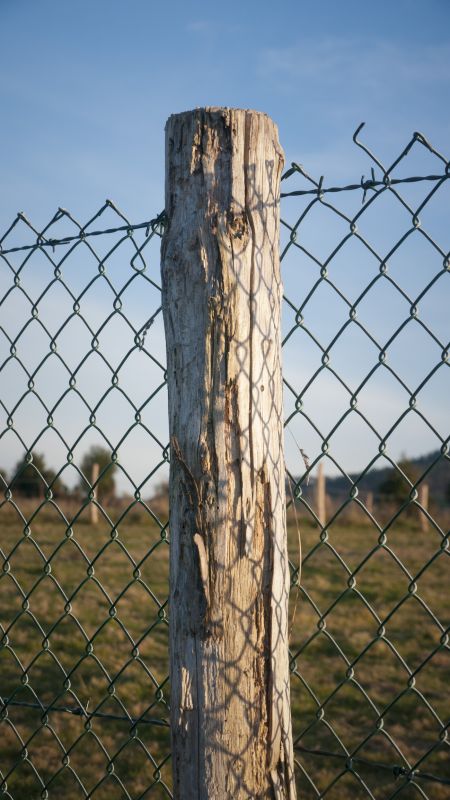 Cedar Post Repair