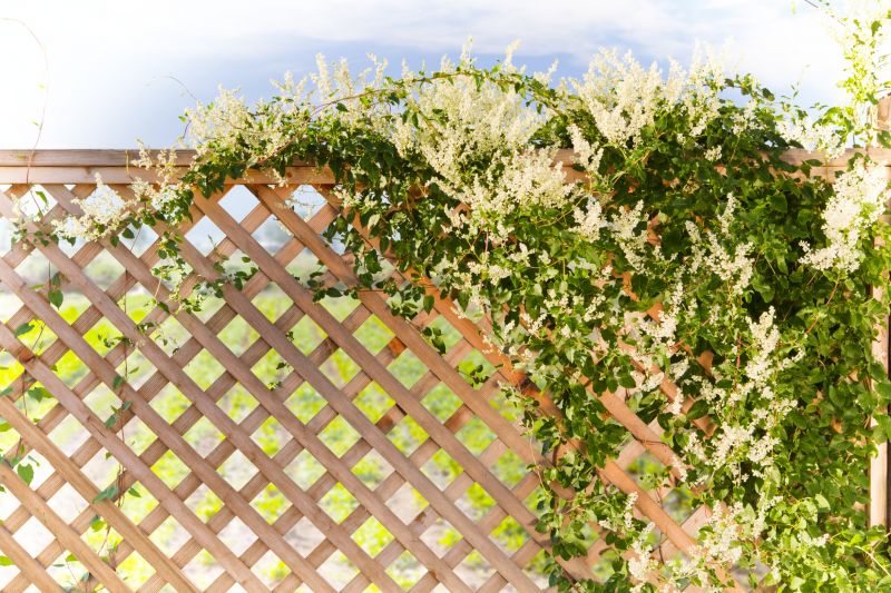 Decorative Lattice Mounting