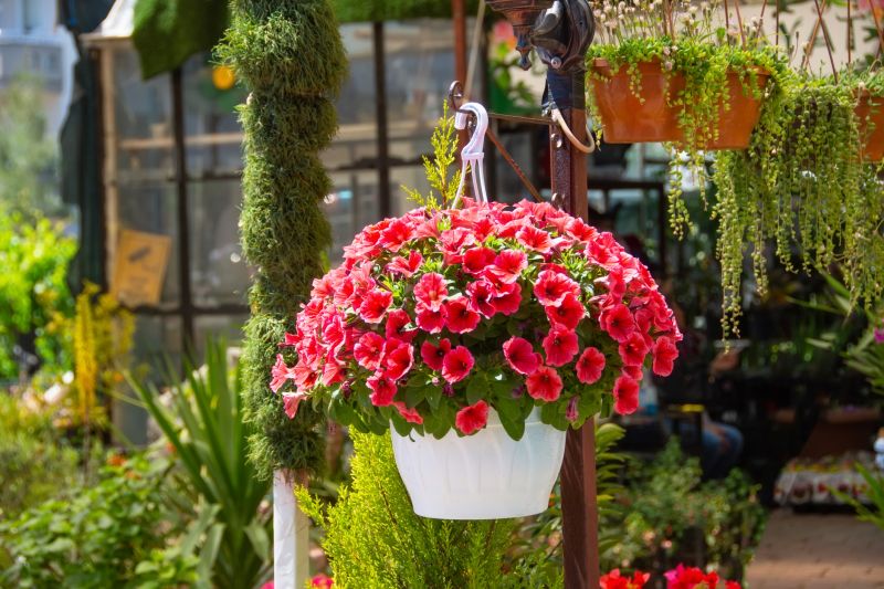 Hanging Basket Installation