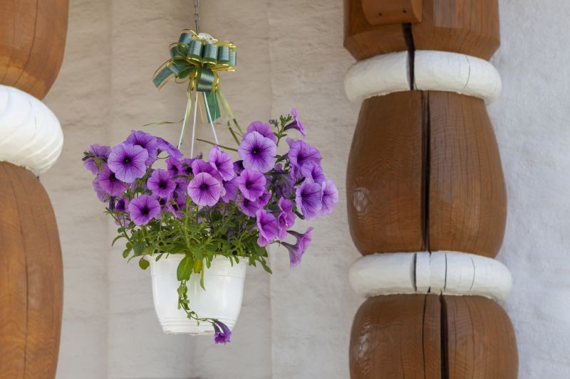 Hanging Planter Installation