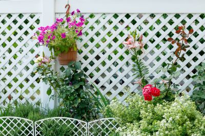 Lattice Repair