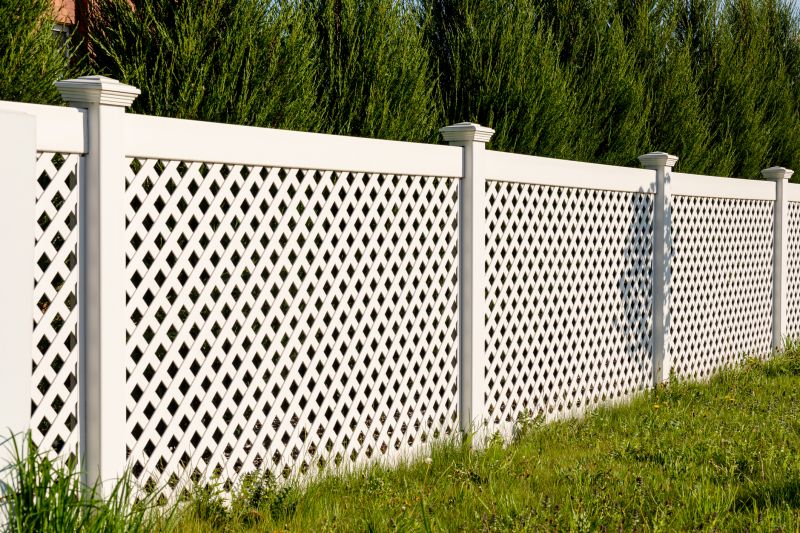 Lattice Repair