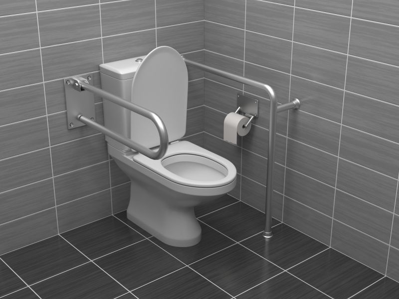 Toilet Grab Bars Installation