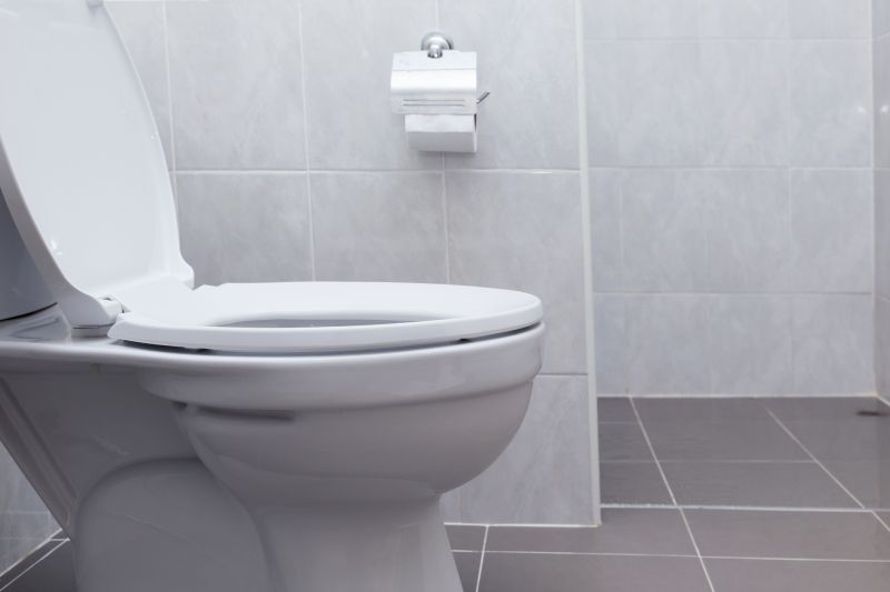 Toilet Lid Installation