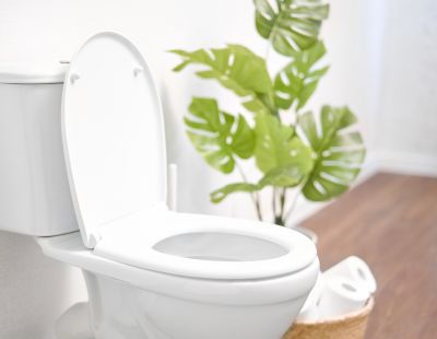 Toilet Lid Installation