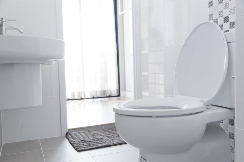 Toilet Seat Installation
