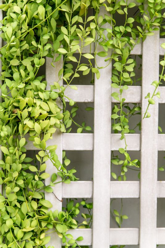 Trellis Mounting