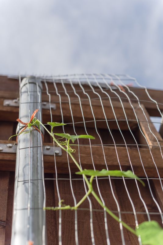Trellis Mounting