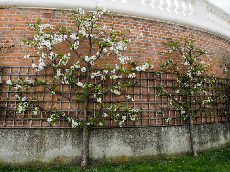 Trellis Repair