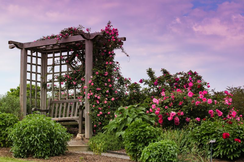 Trellis Repair