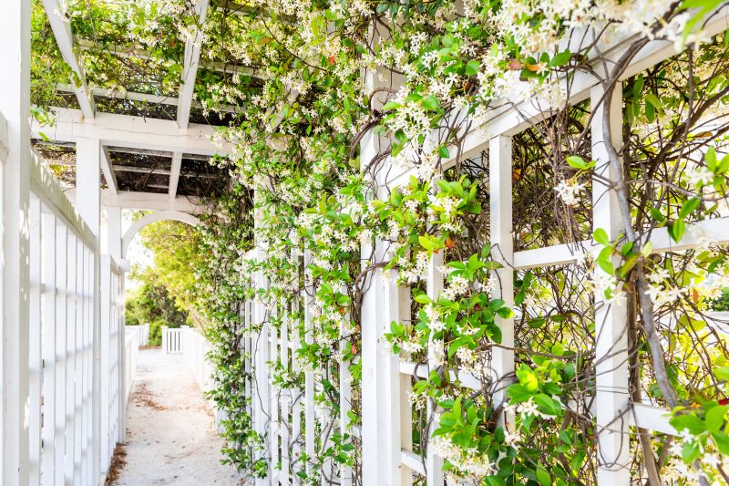 Trellis Repair