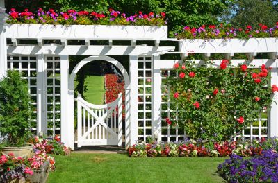 Trellis Repair